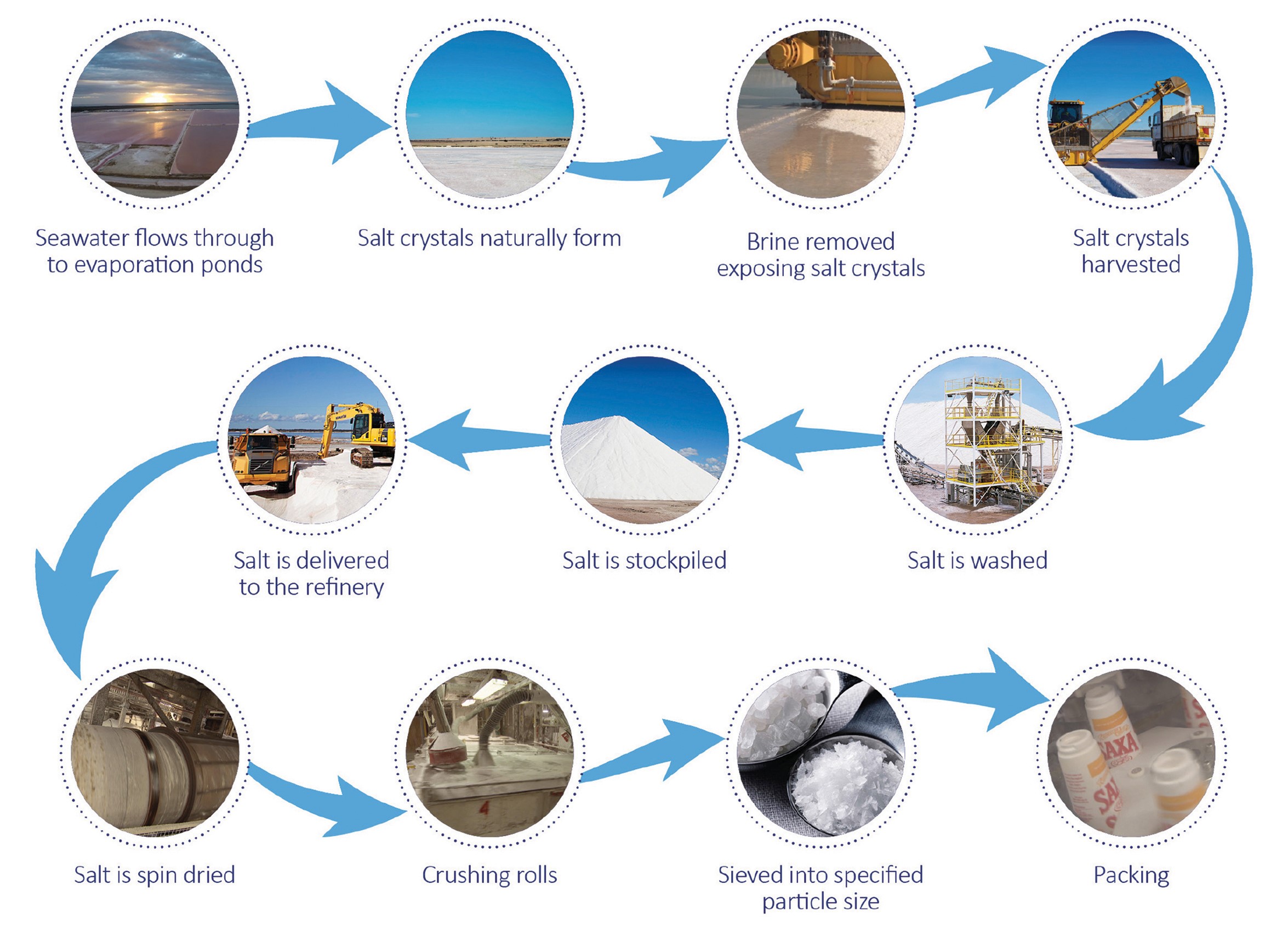 An infographic of the process of making salt.